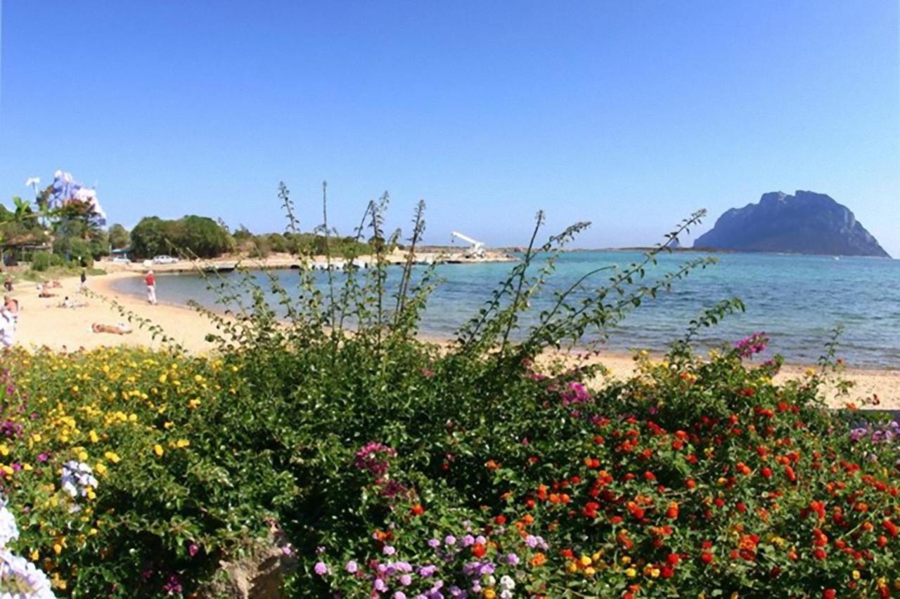 Baia De Bahas - Apartments & Resort Marinella  Zewnętrze zdjęcie
